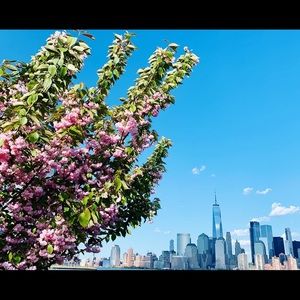 Meet your Posher, Yuntian